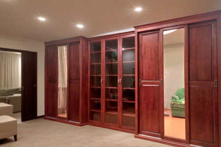 Шкаф купе, библиотека фото